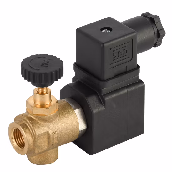 Válvula solenoide de vapor de latón (DL-6I)